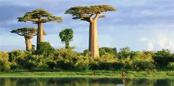 马达加斯加女足队面对喧嚣比赛坚守阵地