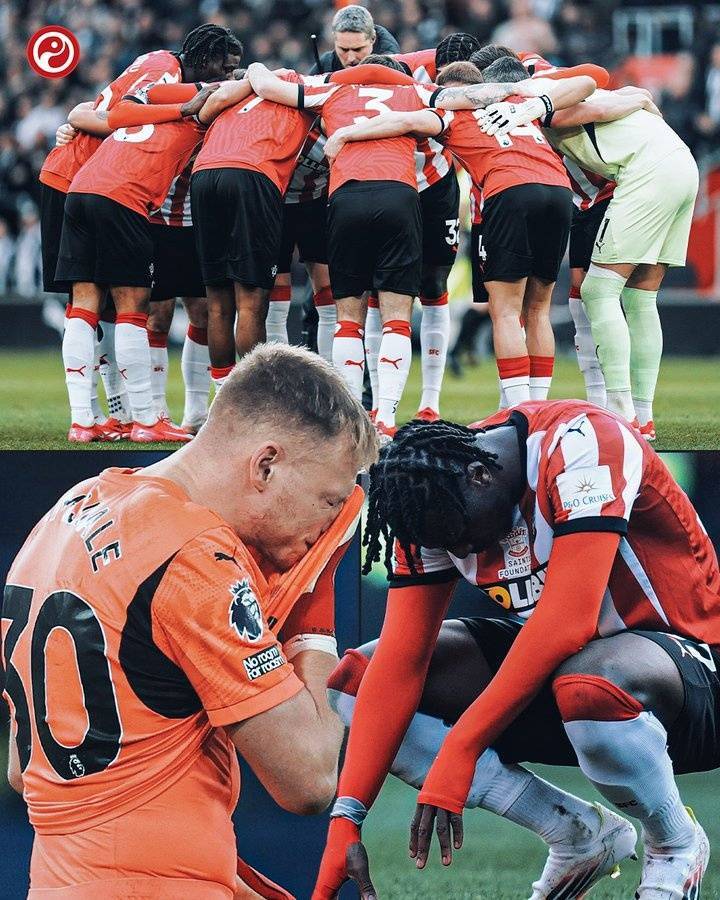 开云体育APP下载-谢菲联击败南安普顿，保持中游稳定的简单介绍