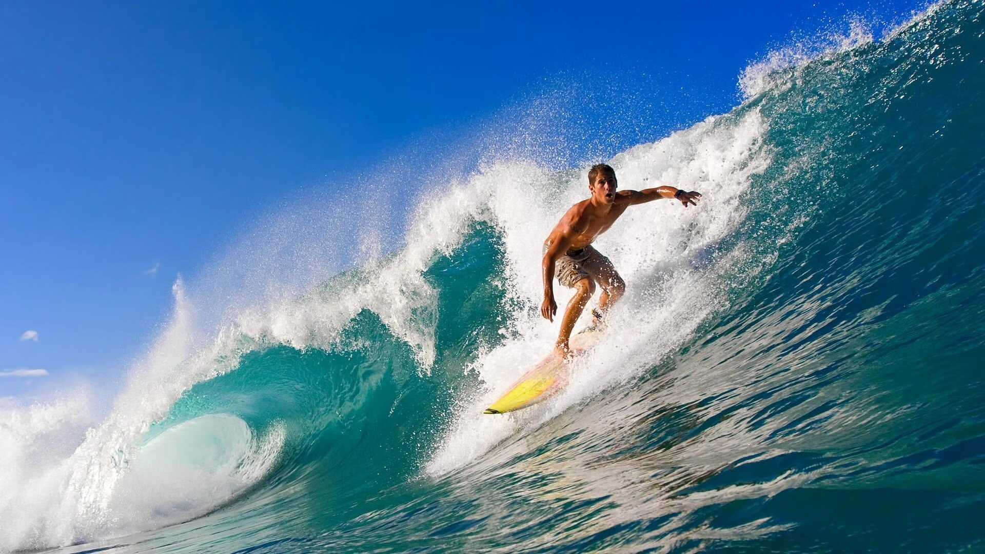 逆袭者与失落王者的赛季镜像，塞恩斯火光中的唯一性寓言