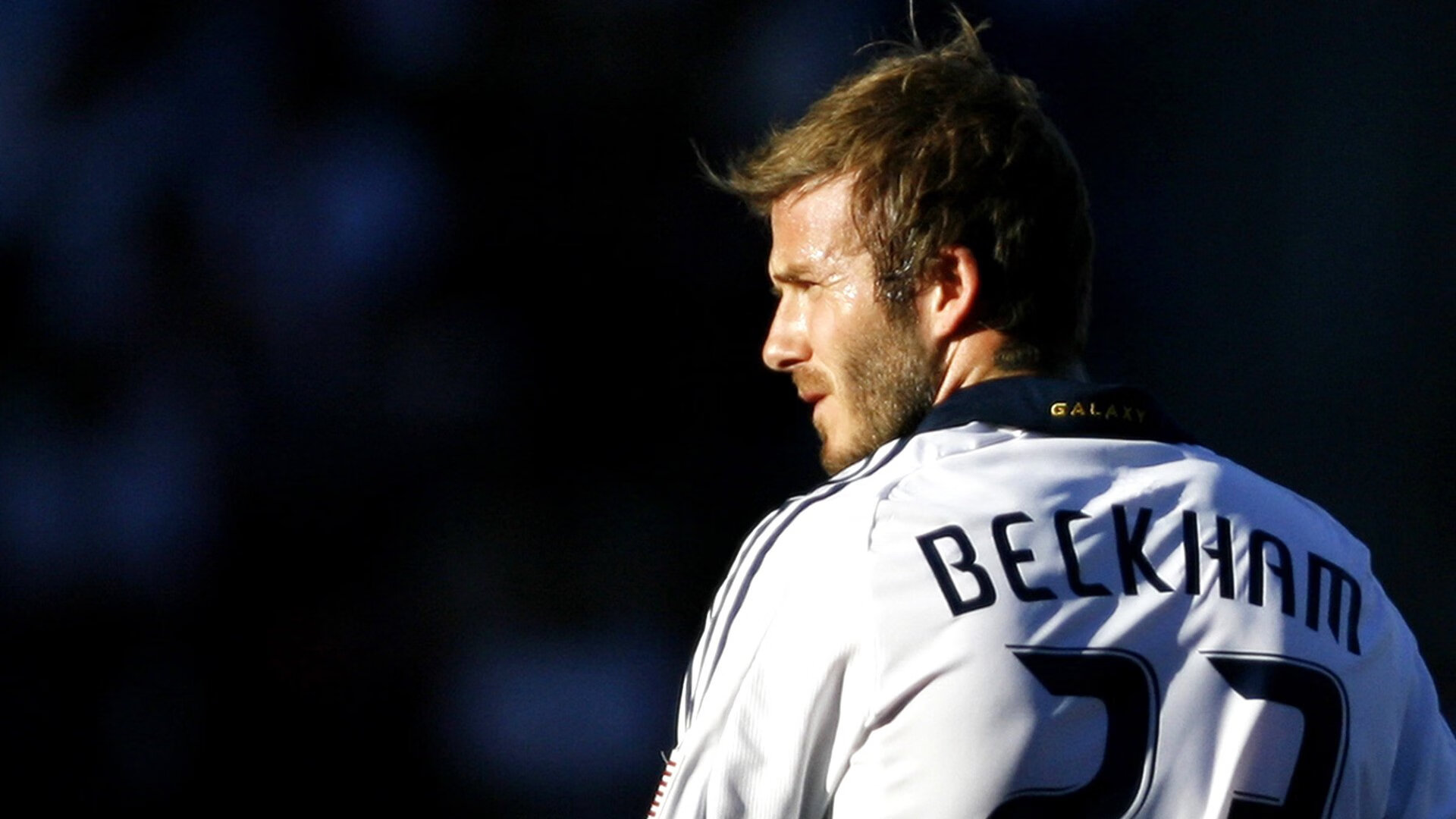 钢的意志，冰冷铁律，霍勒迪终结悬念之夜