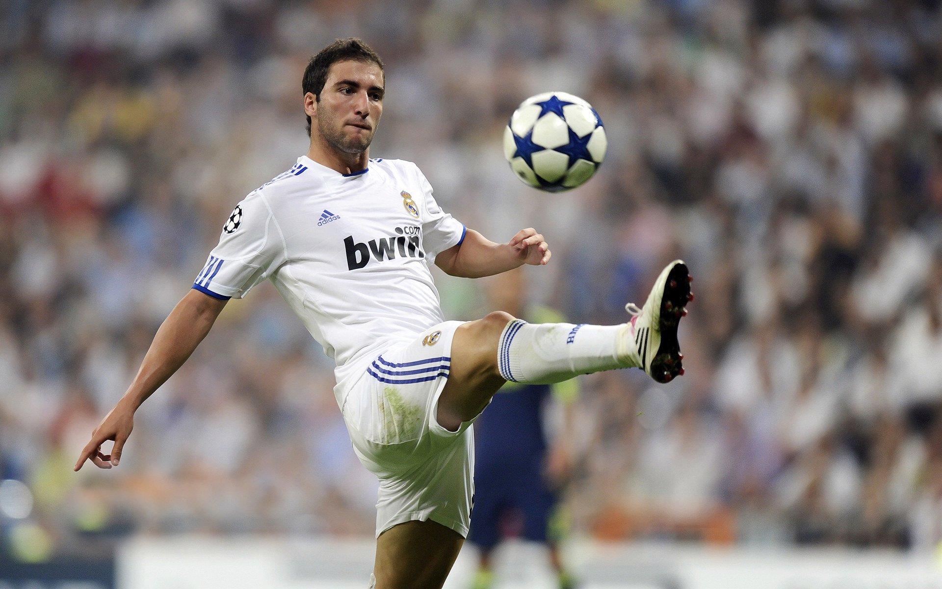 围场风暴，红牛的铁壁横扫与勒克莱尔的孤星闪耀